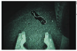 robot Talon infrarouge