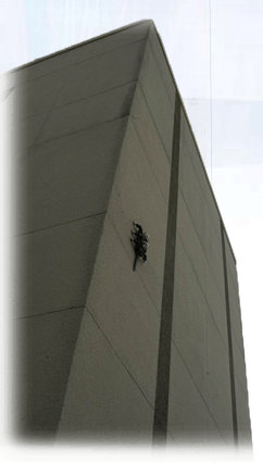 Rise、登攀ロボット