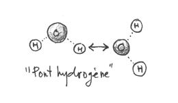 pont_hydrogene
