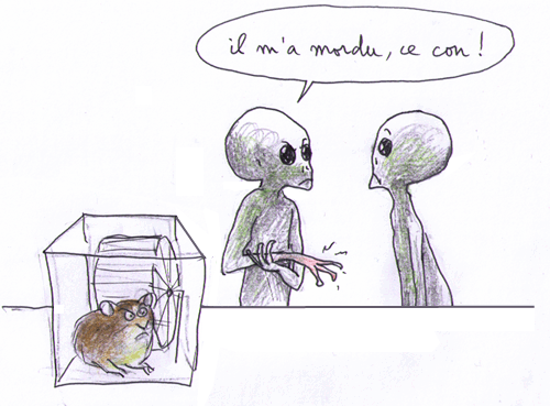 la revolte des hamsters