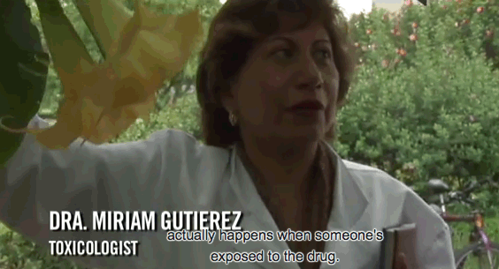 Toxicologue colombienne